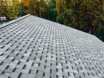 Roof Maintenance Services